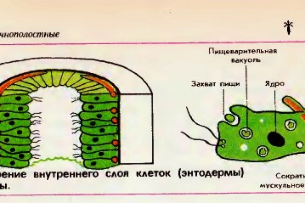 Перевод денег на мегу