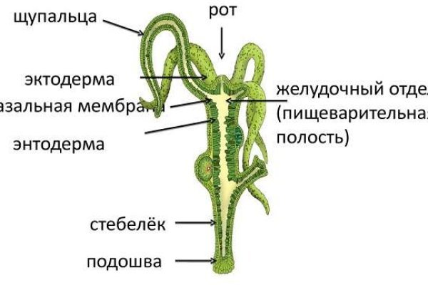 Как приобрести биткоины на сайте мега