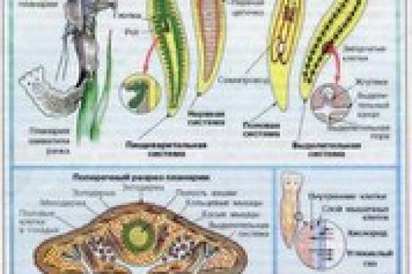 Как зайти на сайт блэкспрут онион